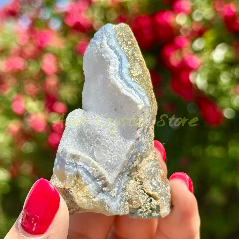 Blue Lace Agate Geode Raw Stone