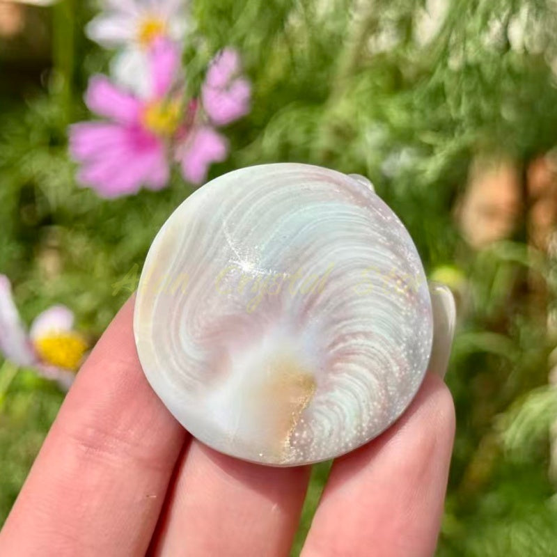 Shell Stone Heart Star Disc Carving