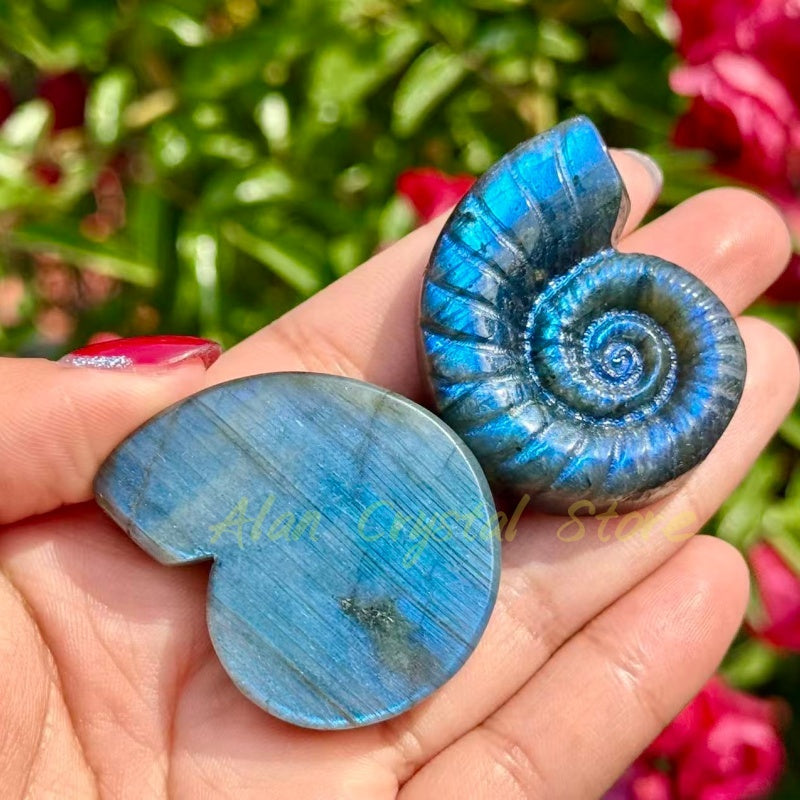 Labradorite Ammonite Carving