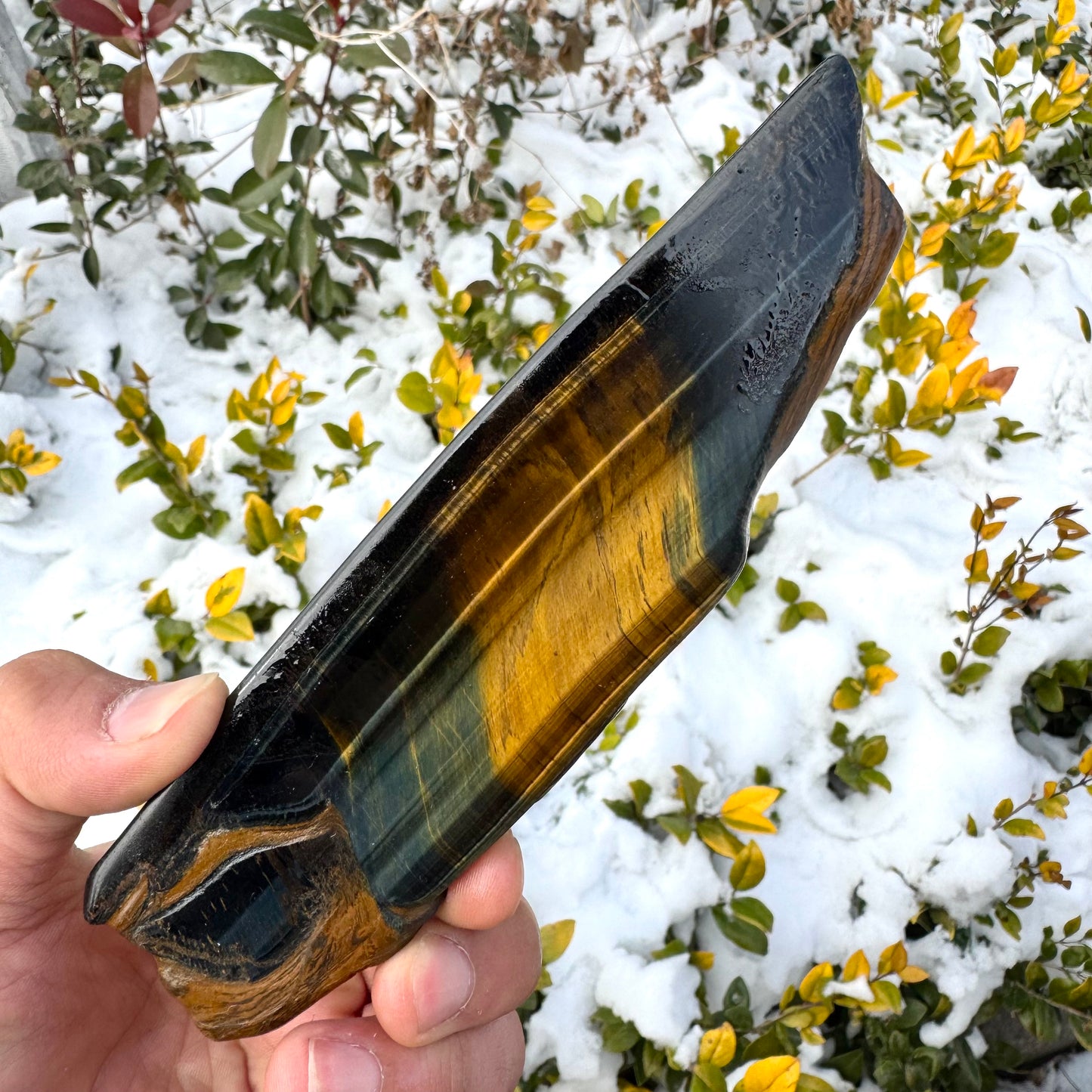 Blue Tiger Eye Slice