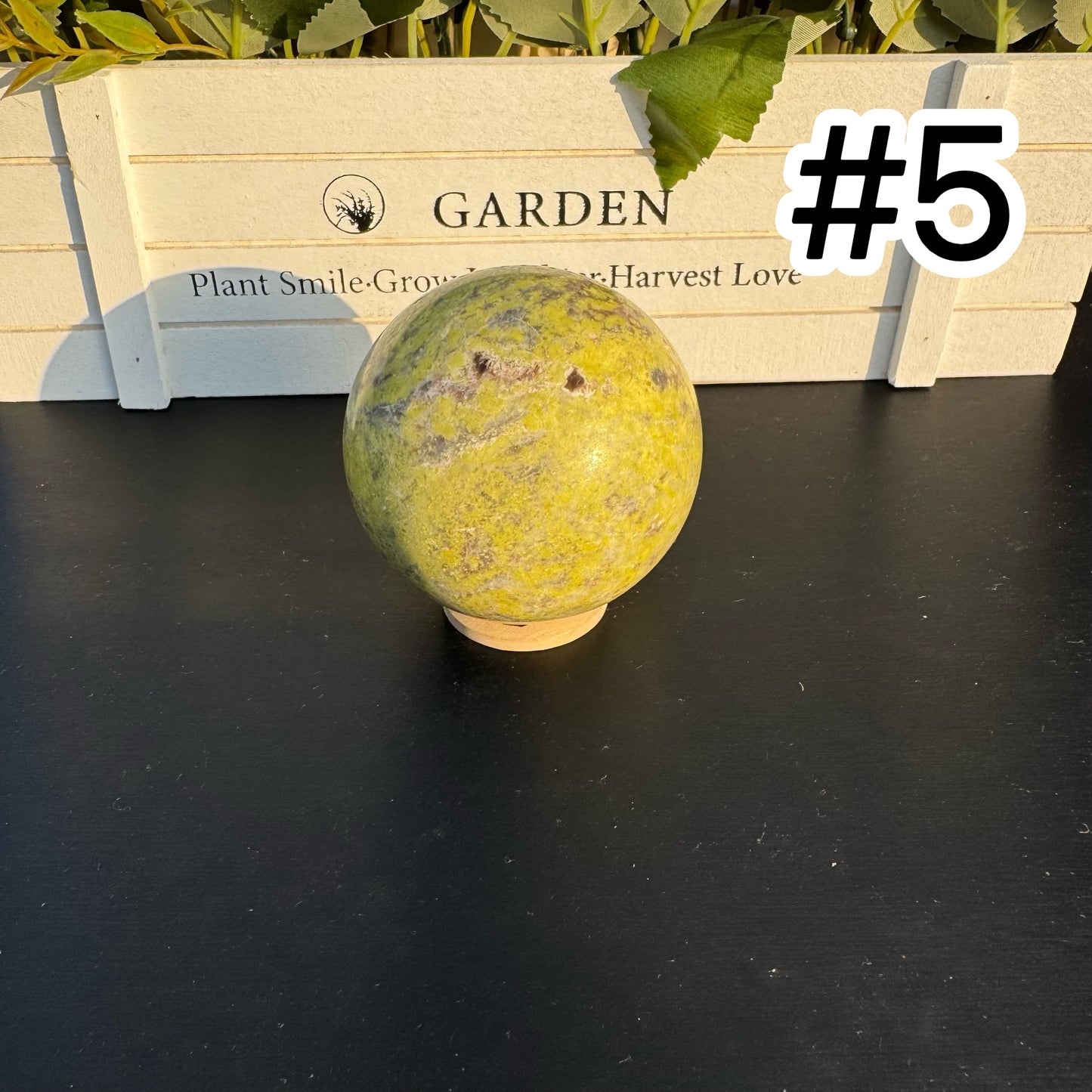 Red Green Saseme Jasper