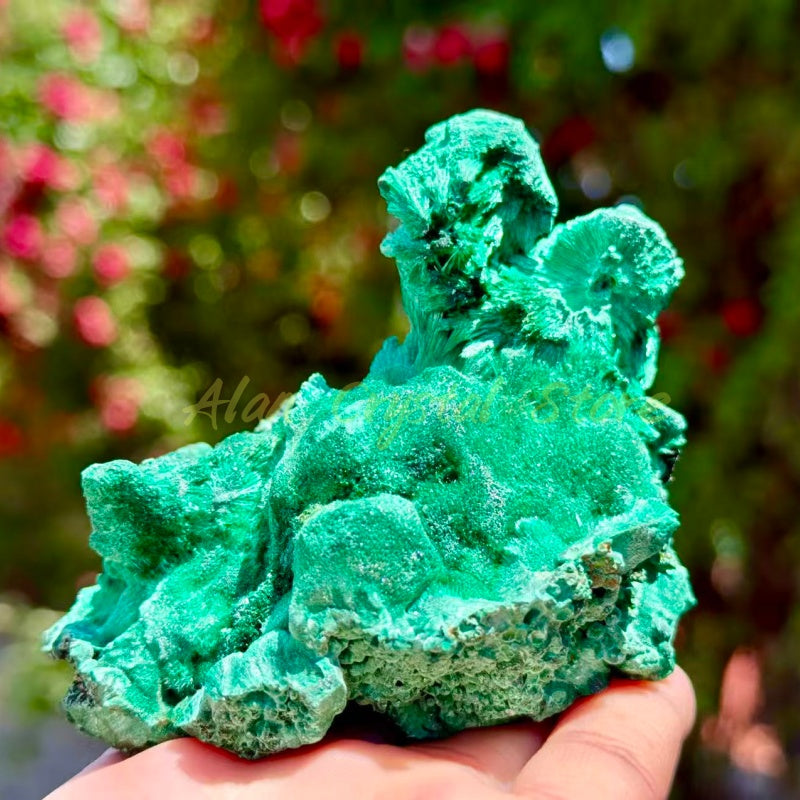 High Quality Malachite Specimen