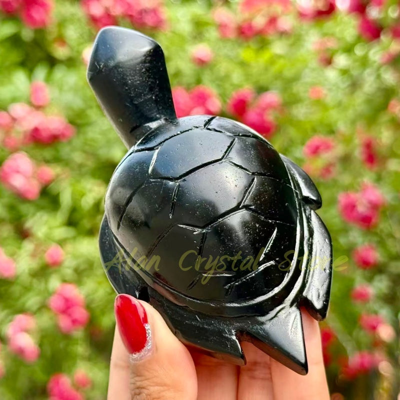 Mixed Material Turtle Carving