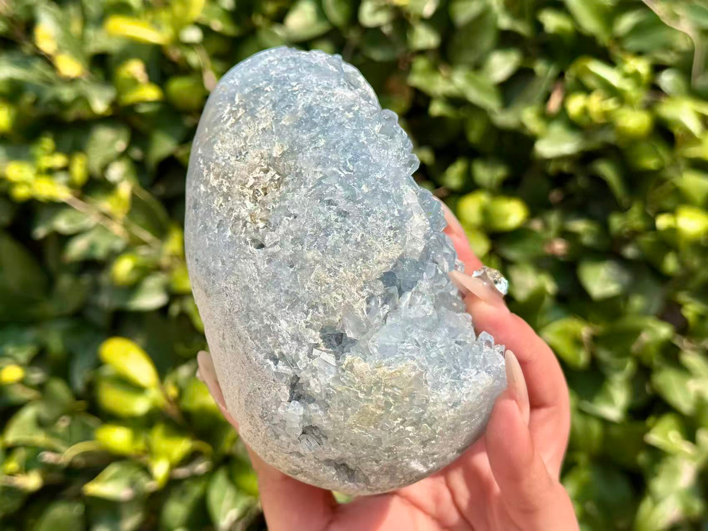 Natural Blue Celestite Crystal Cluster,Raw Geode,Rough Blue Celestine Crystal Egg,Reiki healing,Energy Crystal,Home Decor