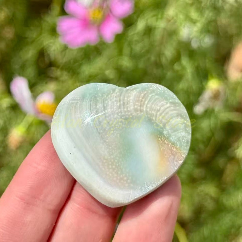 Shell Stone Heart Star Disc Carving