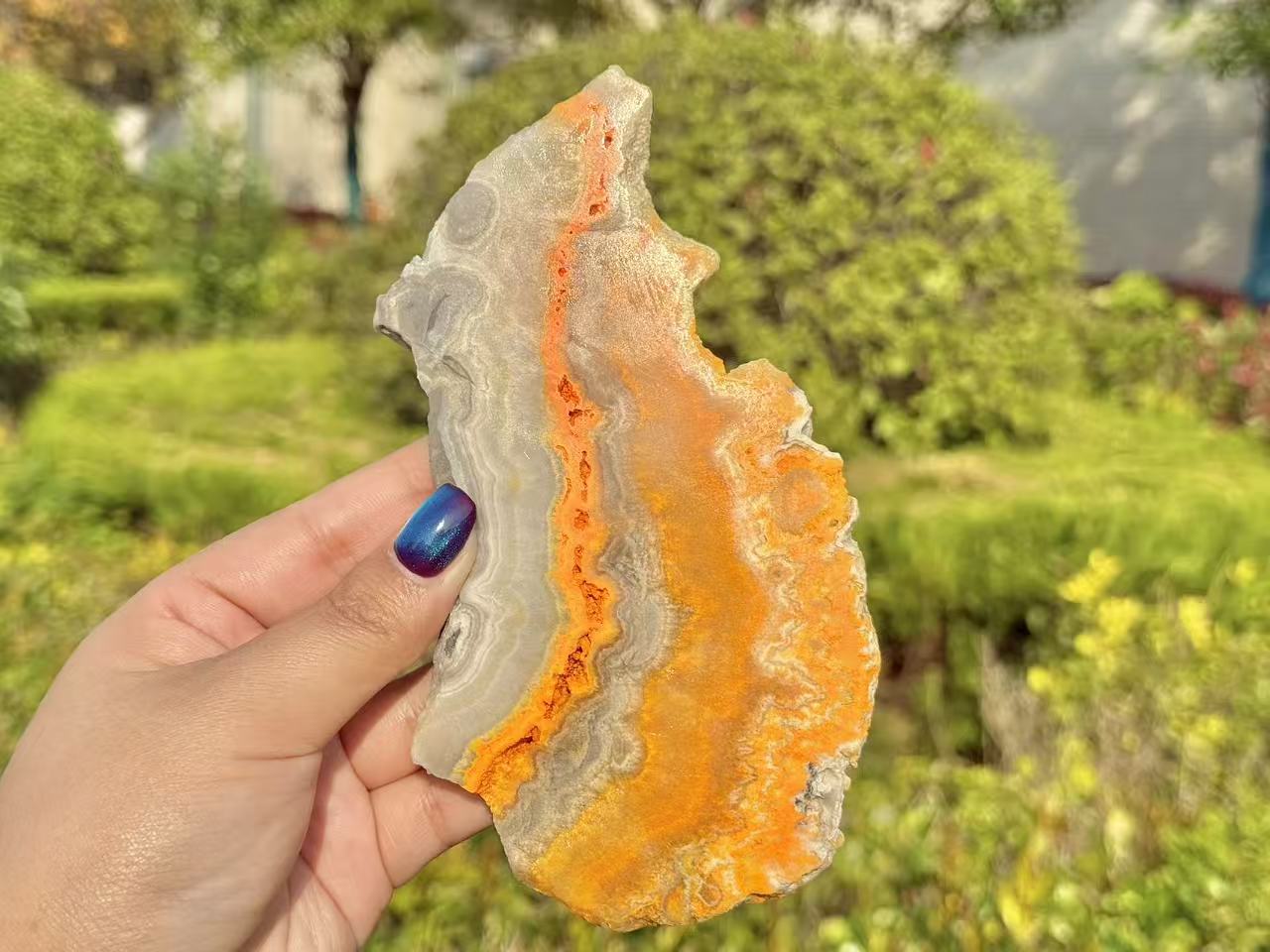 Natural Bee Jasper Slice,High quality Crystal.