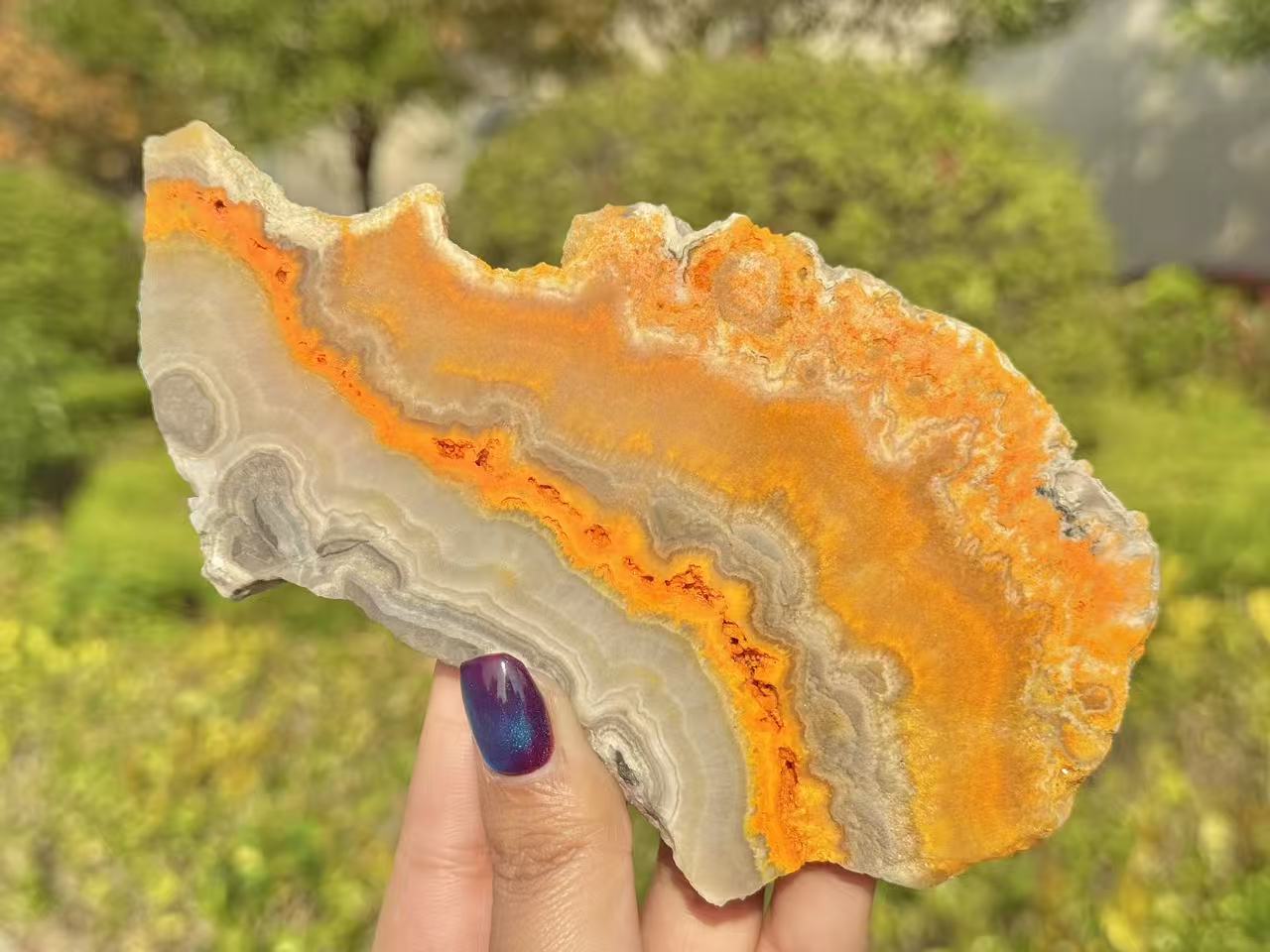 Natural Bee Jasper Slice,High quality Crystal.