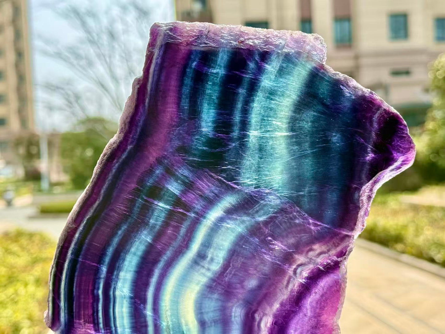 Natural Rainbow Fluorite Section
