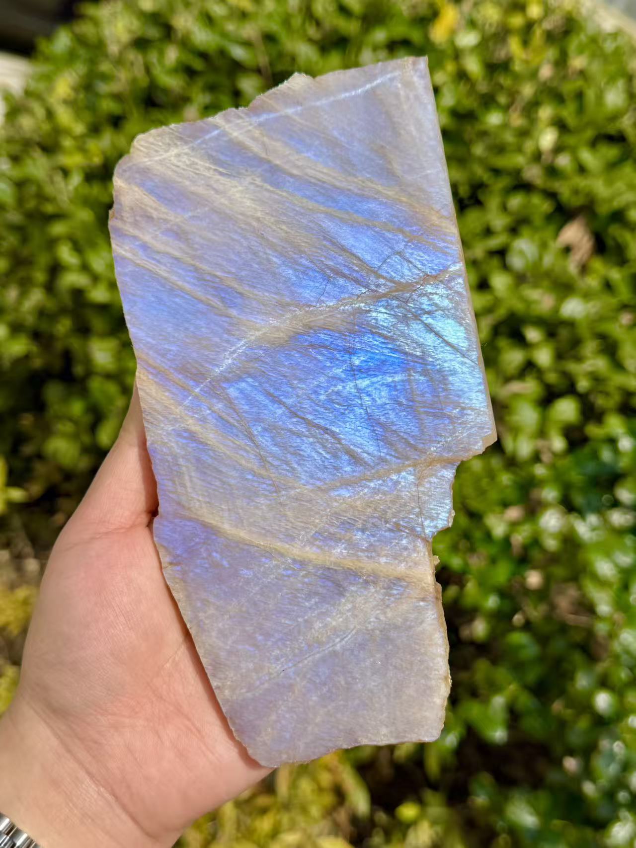 Natural Moon Stone Slice,High Quality Moon Stone