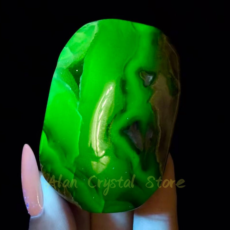 Volcano Agate Palm Stone