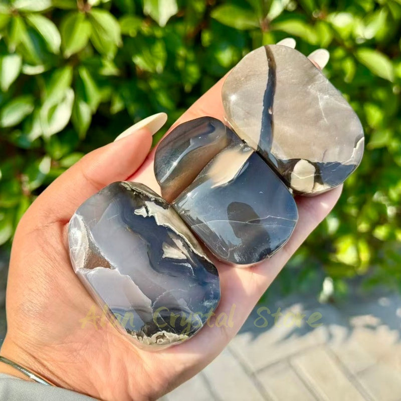 Volcano Agate Palm Stone