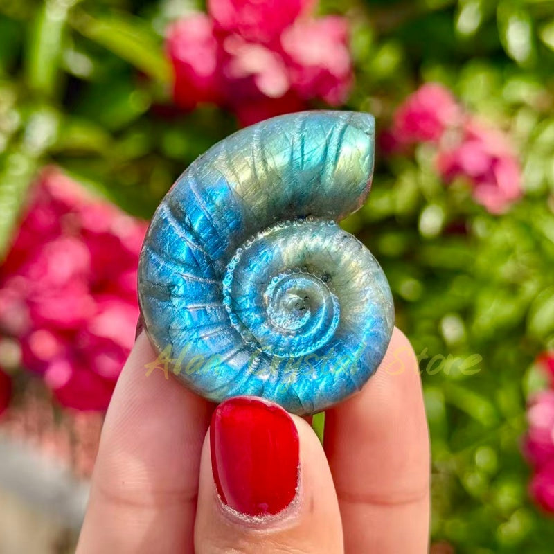 Labradorite Ammonite Carving