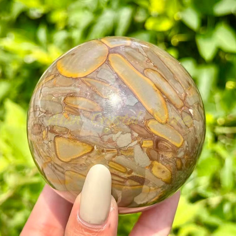 Natural Bamboo jasper Sphere,Large Size Ball.