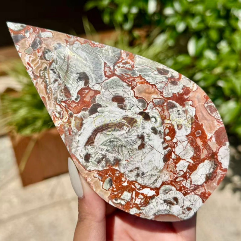Money Agate Decoration