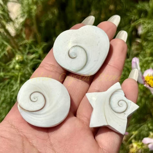 Shell Stone Heart Star Disc Carving