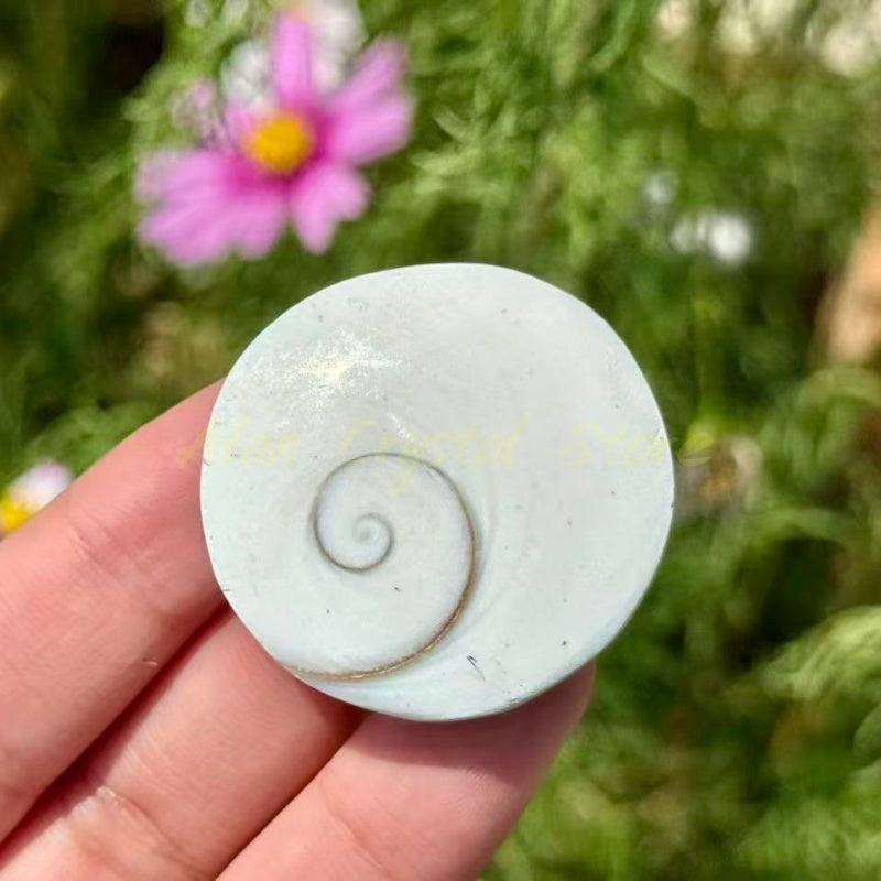Shell Stone Heart Star Disc Carving