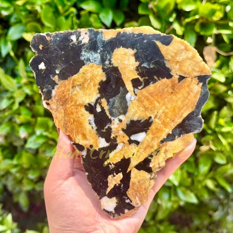 Yellow Mica Tourmaline Slice