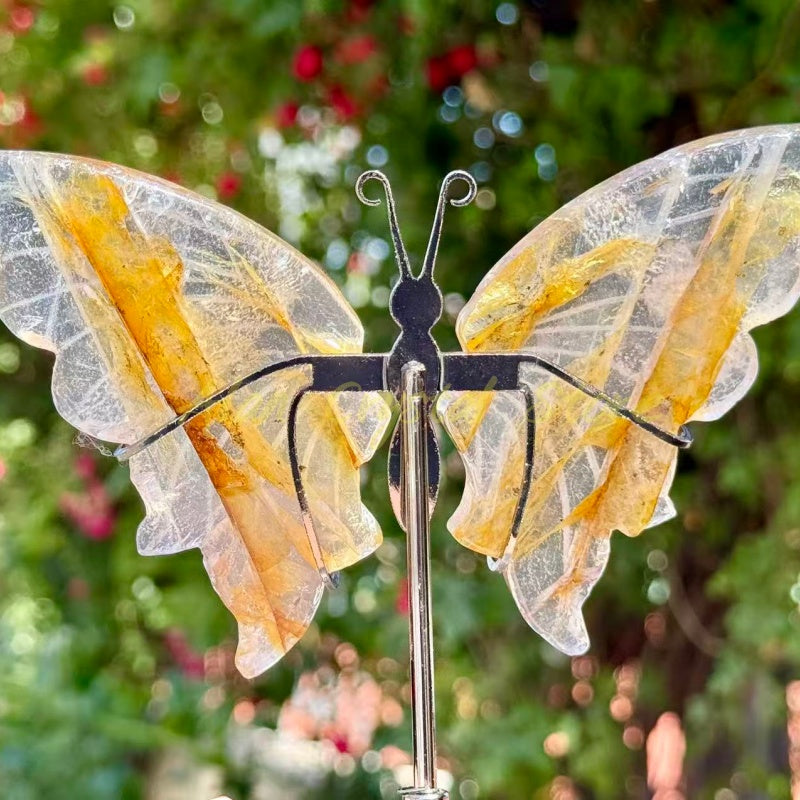 Golden Healer Butterfly Wings