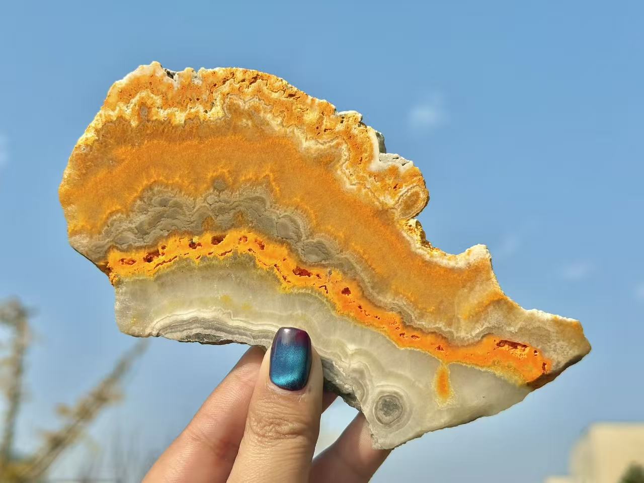Natural Bee Jasper Slice,High quality Crystal.