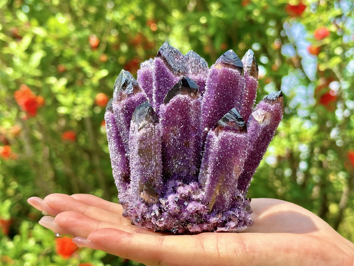 300g+ Purple Crystal Quartz Cluster.
