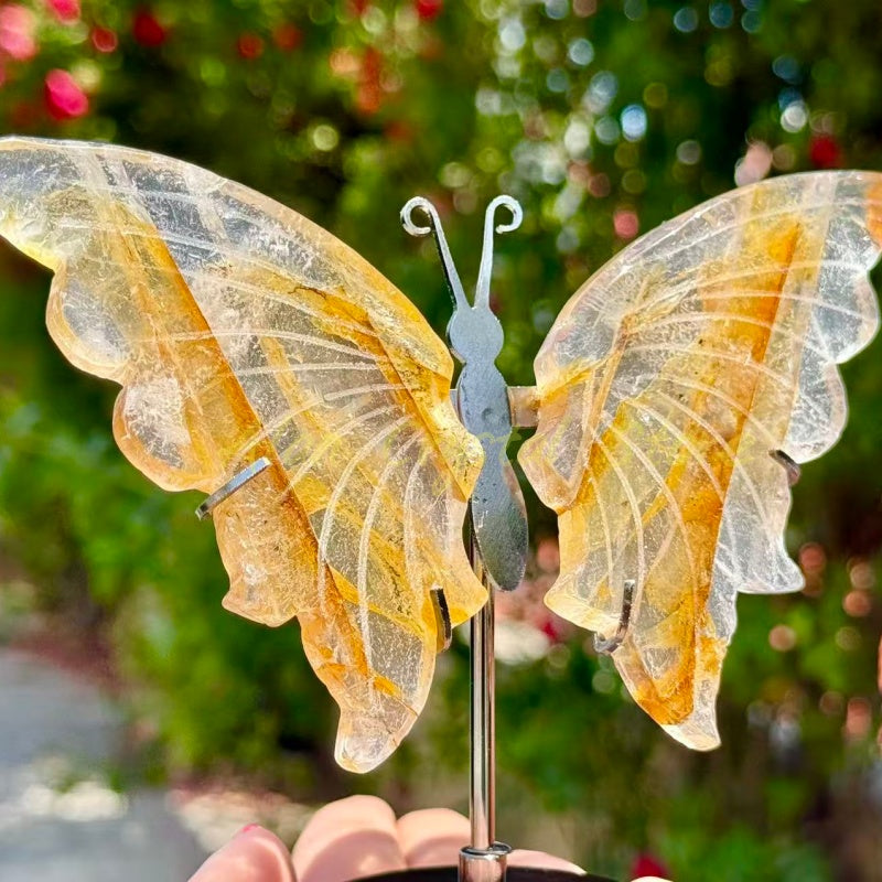 Golden Healer Butterfly Wings