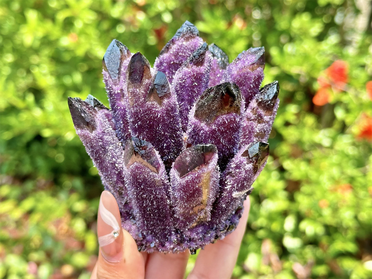 300g+ Purple Crystal Quartz Cluster.