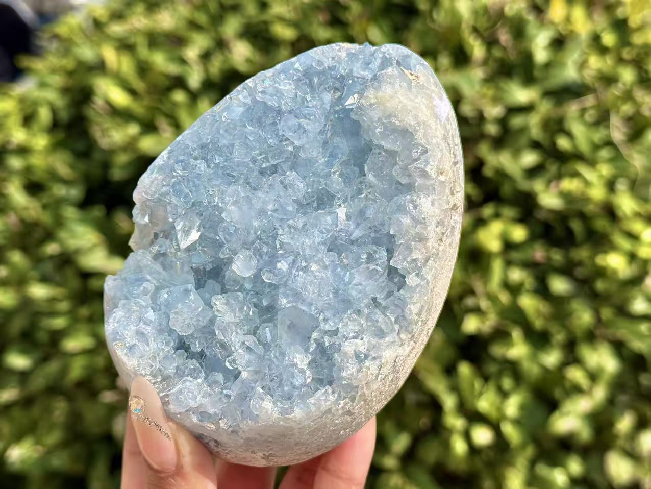 Natural Blue Celestite Crystal Cluster,Raw Geode,Rough Blue Celestine Crystal Egg,Reiki healing,Energy Crystal,Home Decor