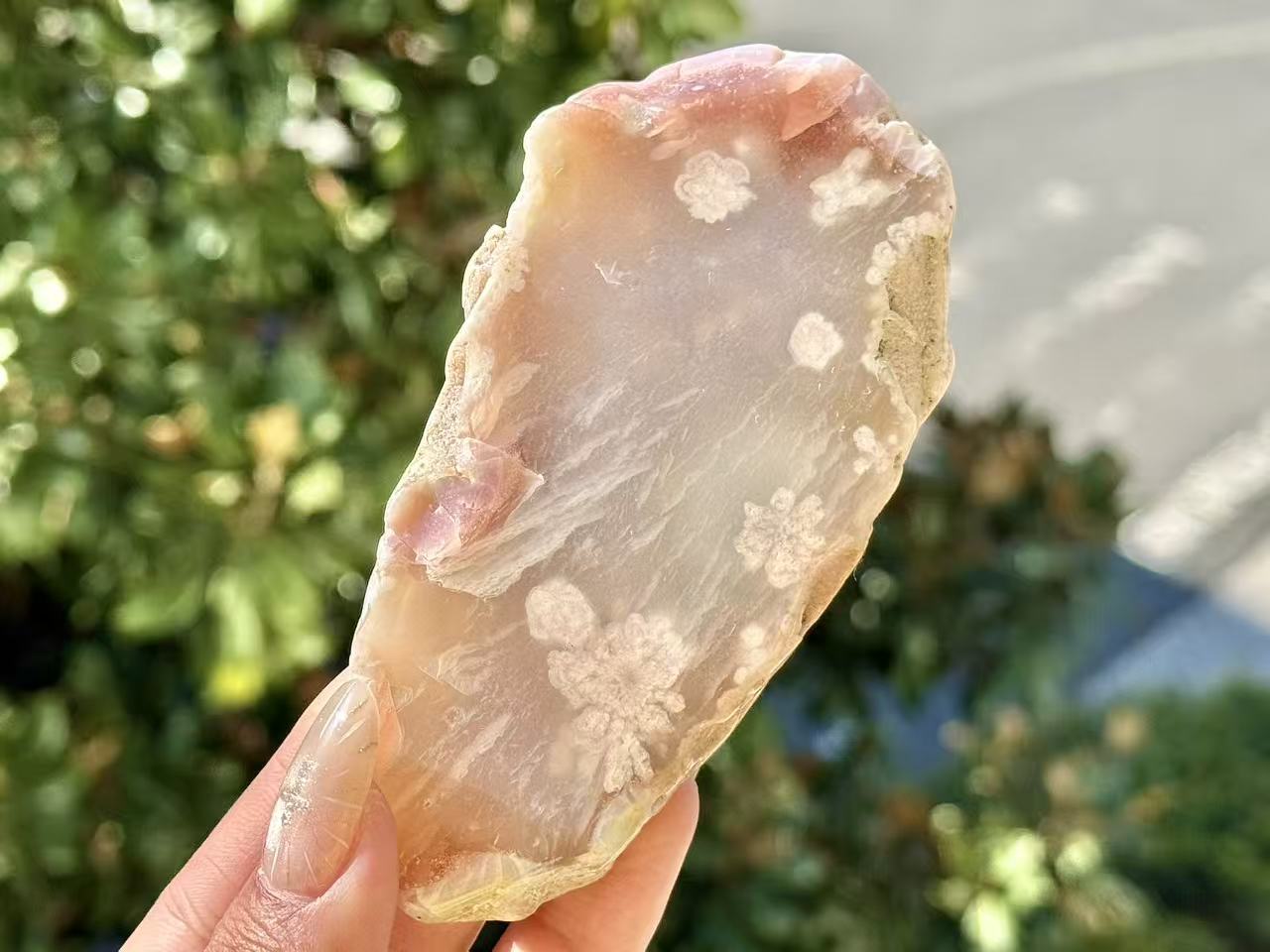 Natural Sakura Agate Slice,Crystal Quartz Slice.