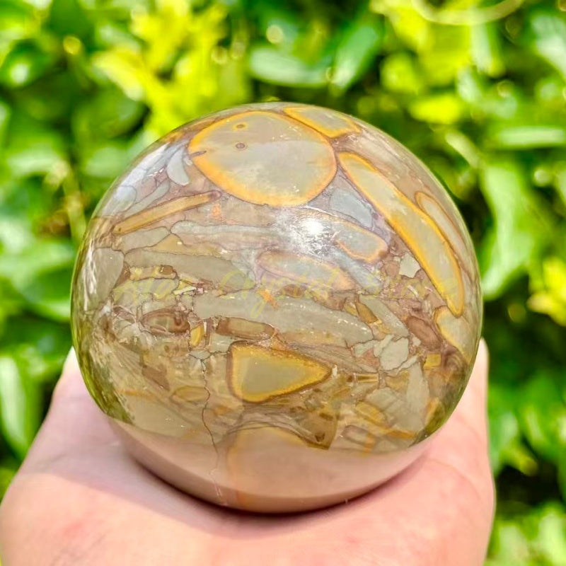 Natural Bamboo jasper Sphere,Large Size Ball.