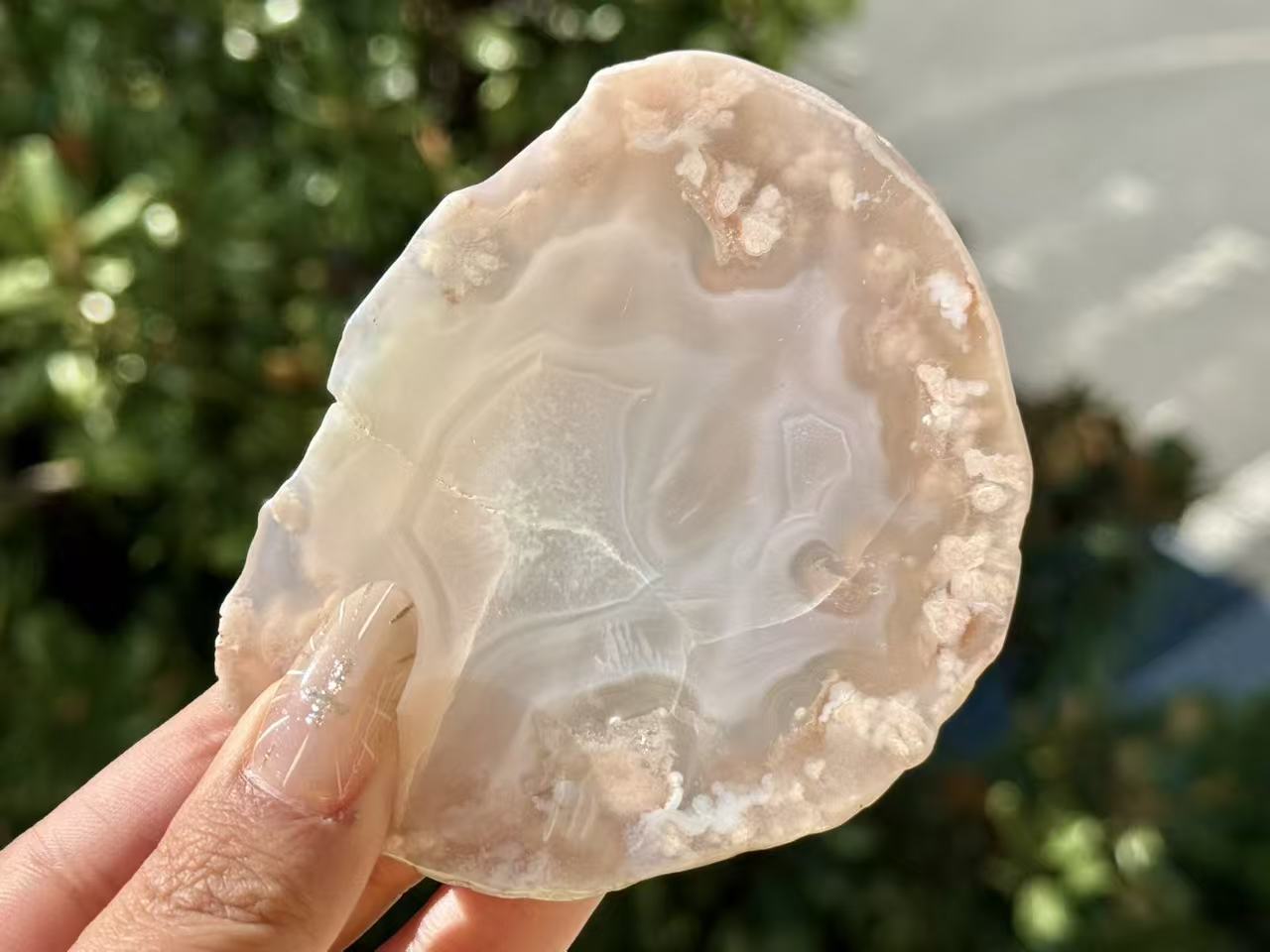 Natural Sakura Agate Slice,Crystal Quartz Slice.