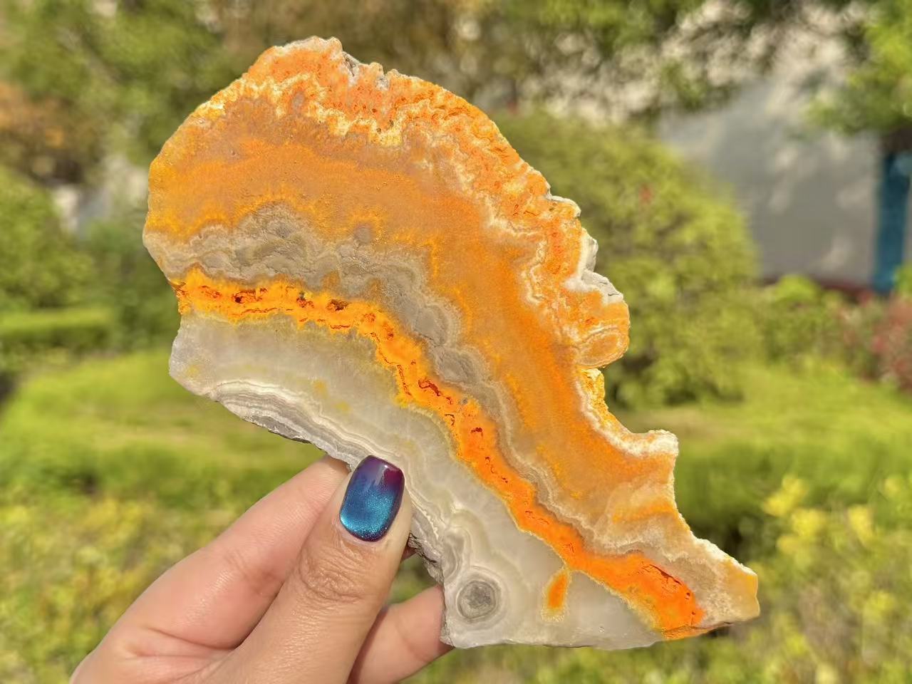 Natural Bee Jasper Slice,High quality Crystal.