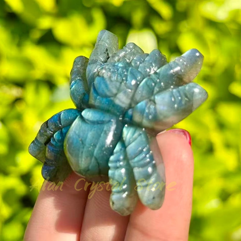 Labradorite Spider Carving
