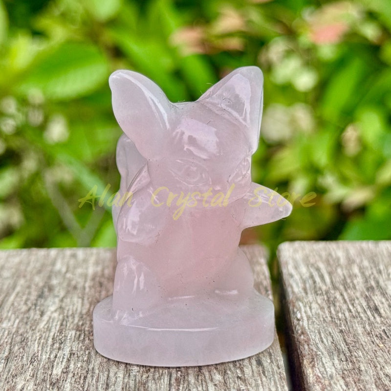 Natural Crystal Quartz Squirtle Carving.1PC