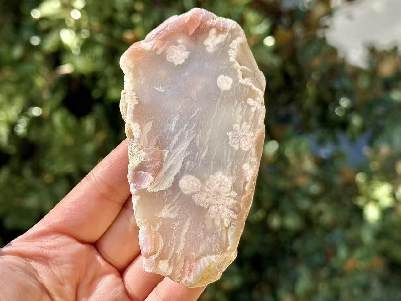 Natural Sakura Agate Slice,Crystal Quartz Slice.