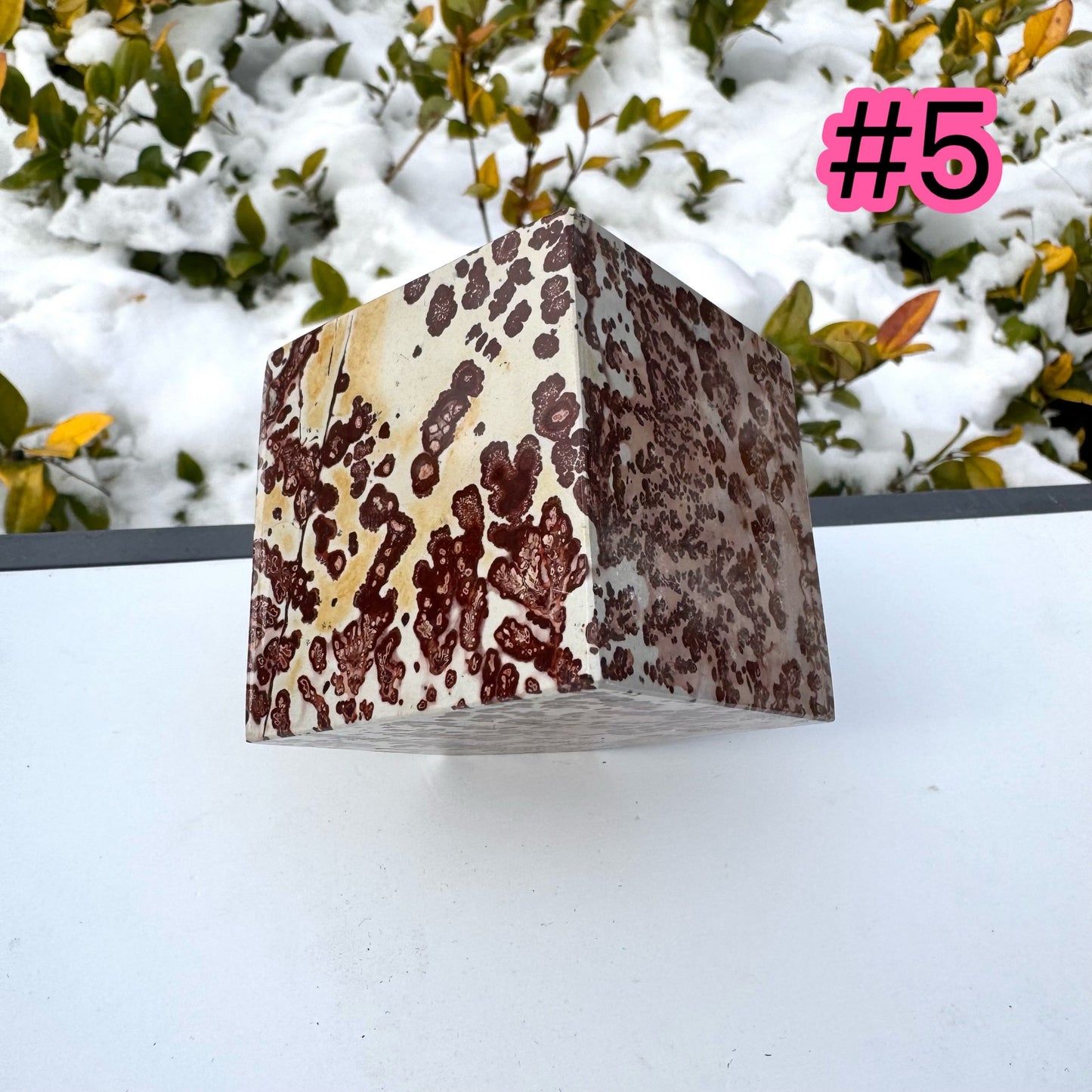 Picture Jasper Cube