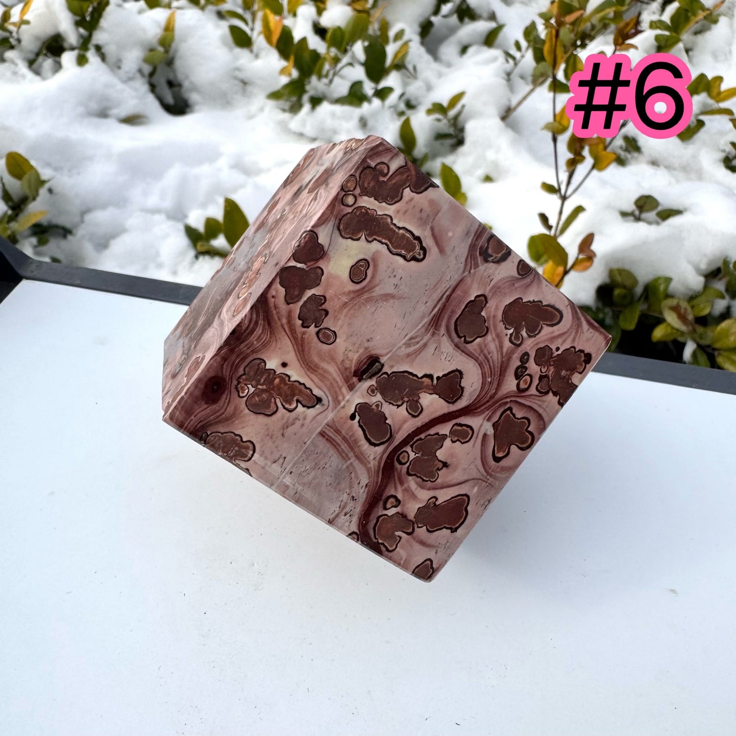 Picture Jasper Cube
