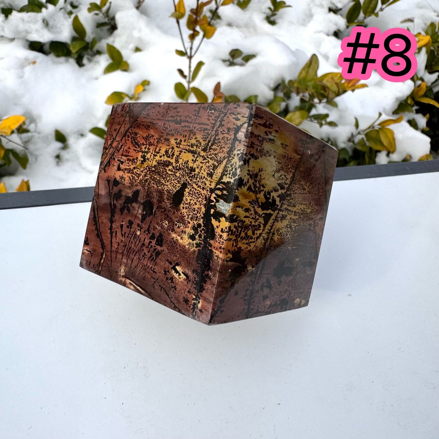 Picture Jasper Cube