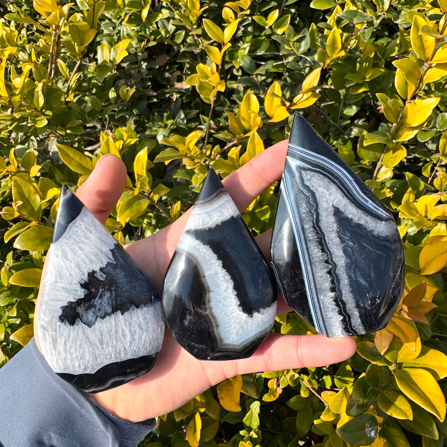 Black Sardonyx Decoration