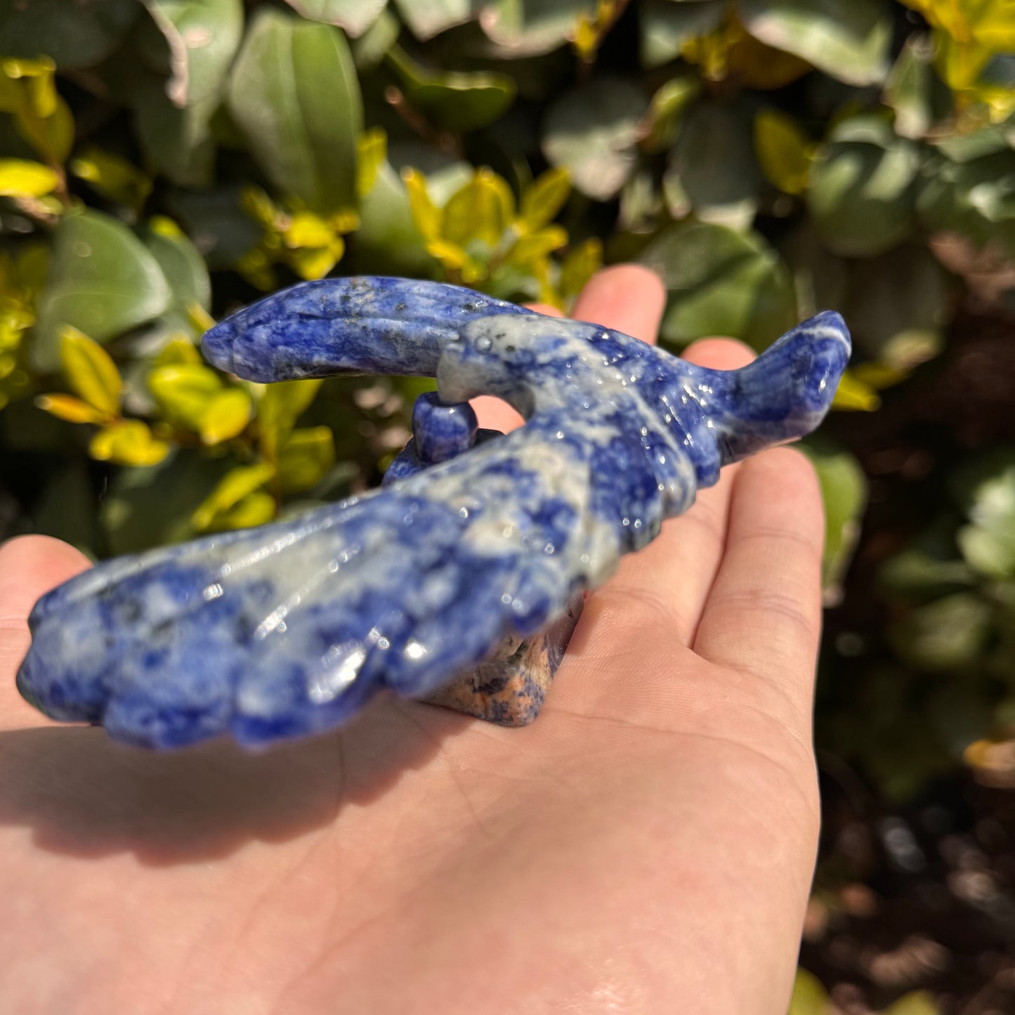 Natural Crystal Carving Balanced Eagle
