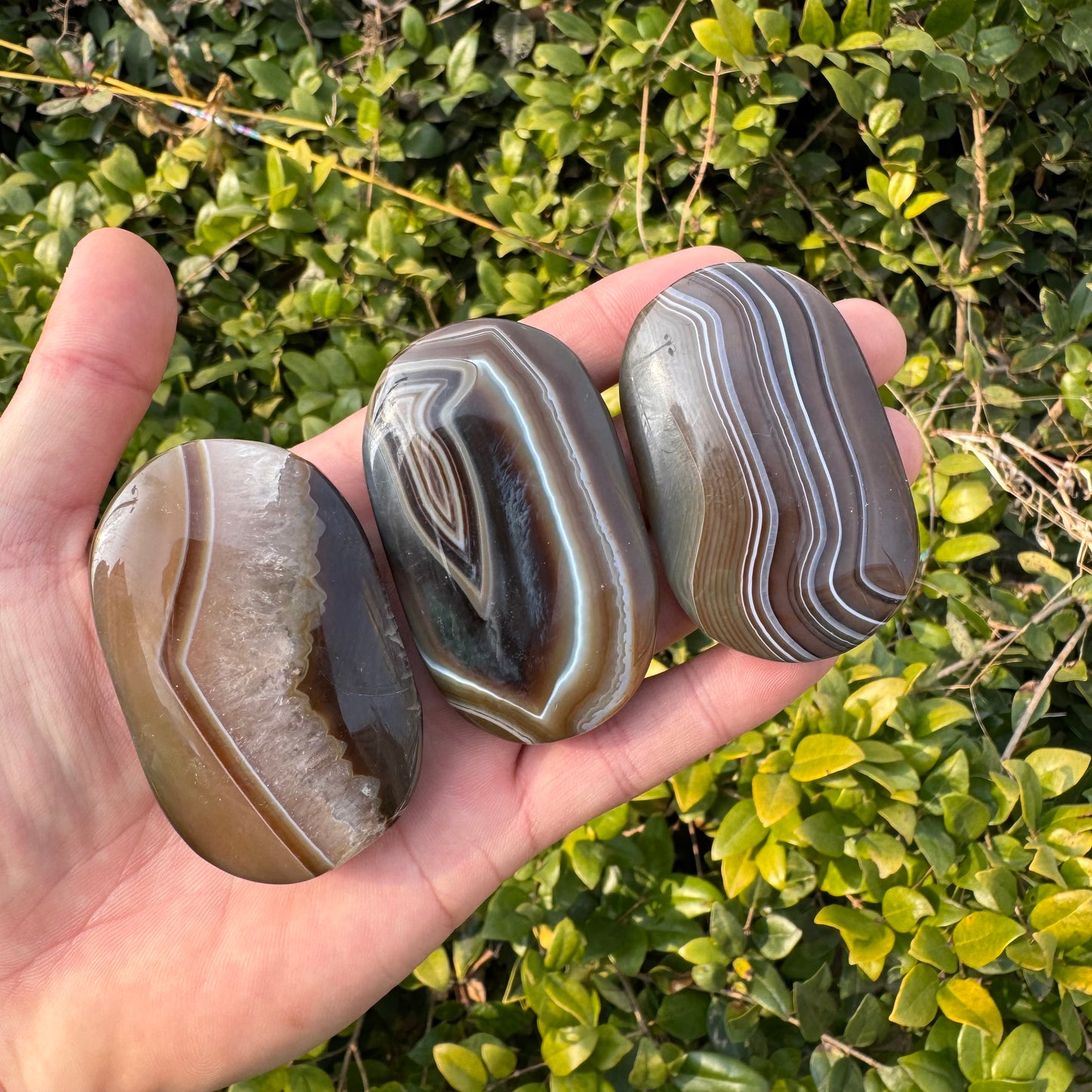 Brown Sardonyx Plam Stone