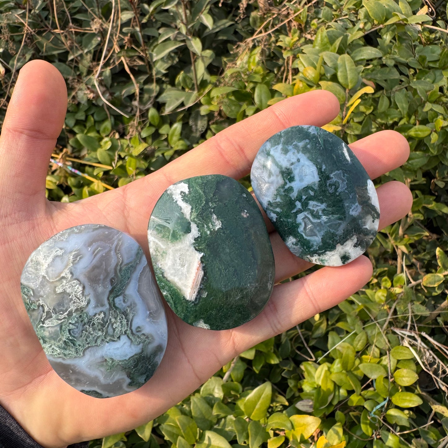 Moss Agate Palm Stone