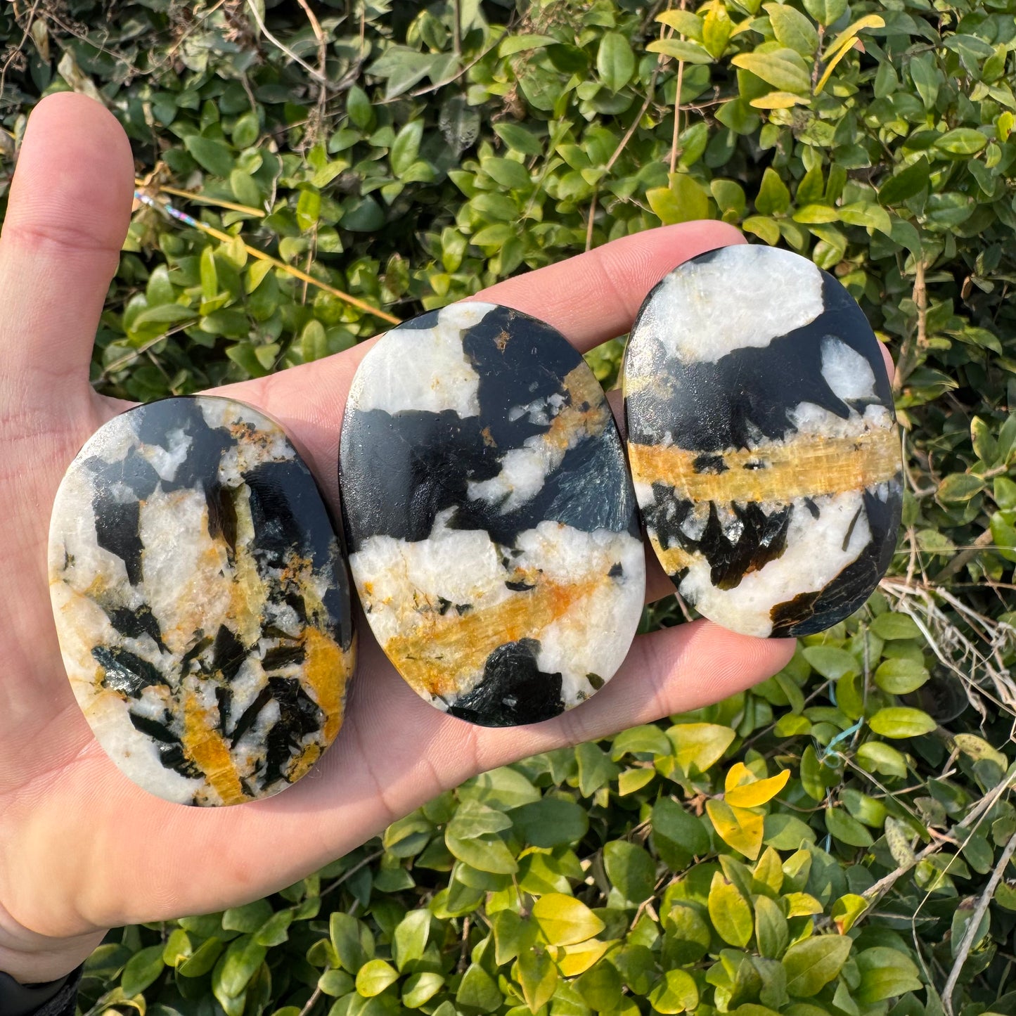 Tourmaline Mica Palm Stone
