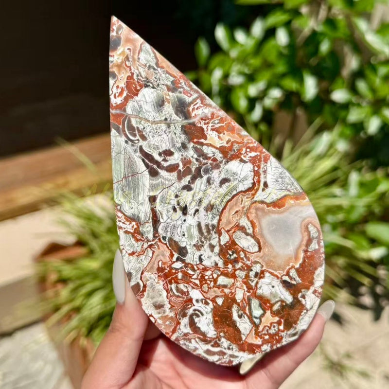 Money Agate Decoration