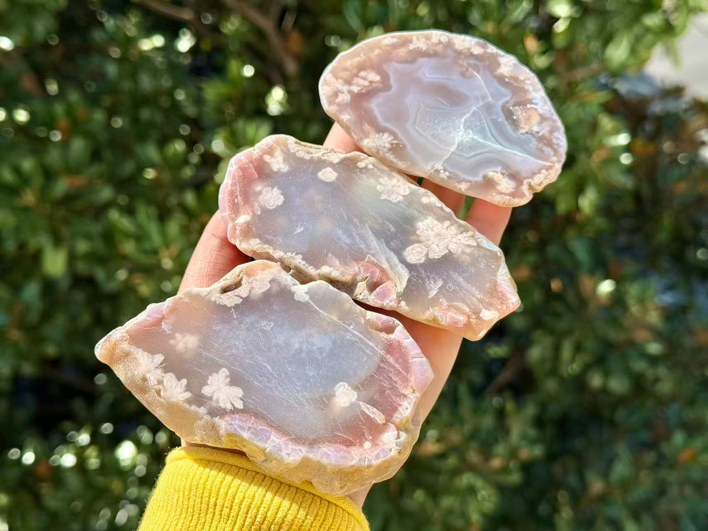 Natural Sakura Agate Slice,Crystal Quartz Slice.