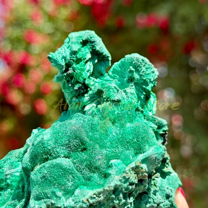 High Quality Malachite Specimen