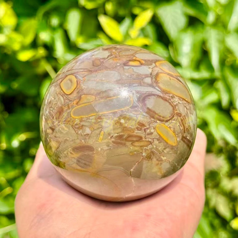 Natural Bamboo jasper Sphere,Large Size Ball.