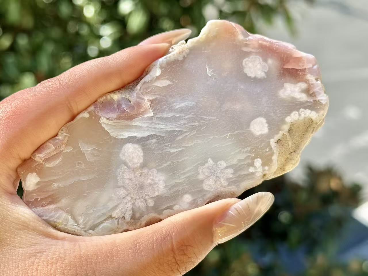 Natural Sakura Agate Slice,Crystal Quartz Slice.