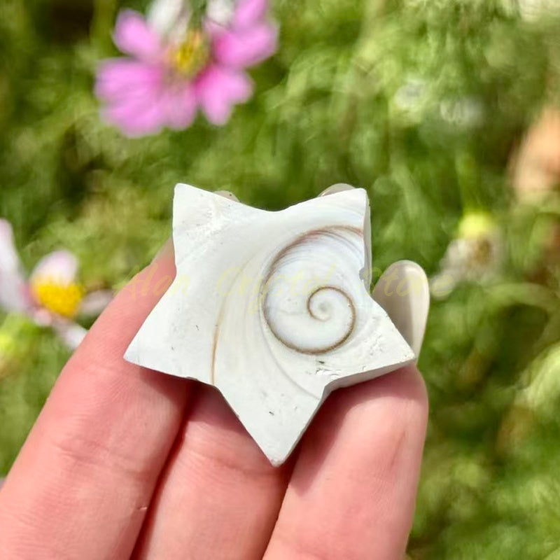 Shell Stone Heart Star Disc Carving