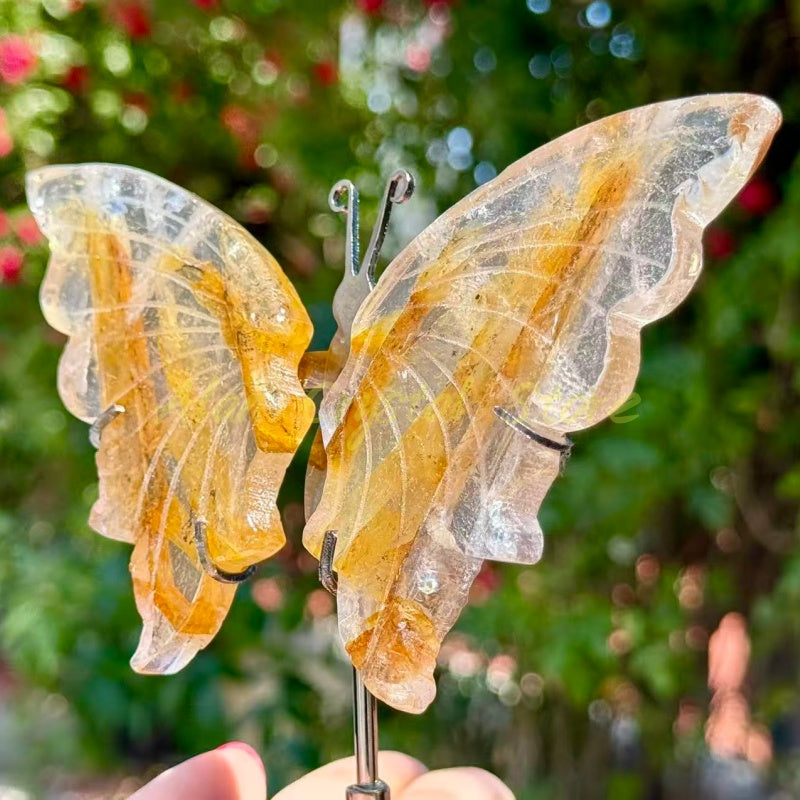 Golden Healer Butterfly Wings