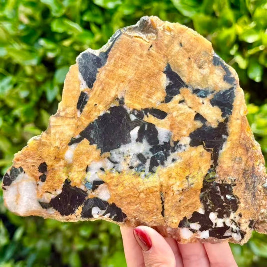 Yellow Mica Tourmaline Slice